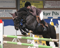 Luisa Black lief in Salzwedel zur Hochform auf, gewann ein Zwei-Sterne Springen Klasse M auf Lutz und wurde in einem weiteren Dritte.